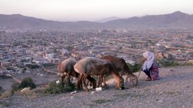 Auch beim Kindersender Kika wird »Elham – Meine Musik für Afghanistan«im Rahmen der Sendereihe »stark!« ausgestrahlt.