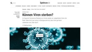 Screenshot der Website 