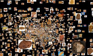 In »Fried or Fossil?«, Anna-Maria Galani and Sabah Abouelhadid explore how digital systems classify sponge fragments. Google Image Search identifies them as sea sponges, fossils or even fried chicken. Image: Sabah Abouelhadid Collage of numerous small photographs of brown and orange sponge fragments on a black background, becoming denser toward the center of the image.