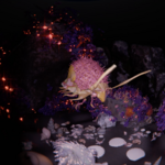 Lynn Haag awarded a Silver Nail for her Bachelor's thesis »Arthropods of the Anthropocene«; Film still: Lynn Haag