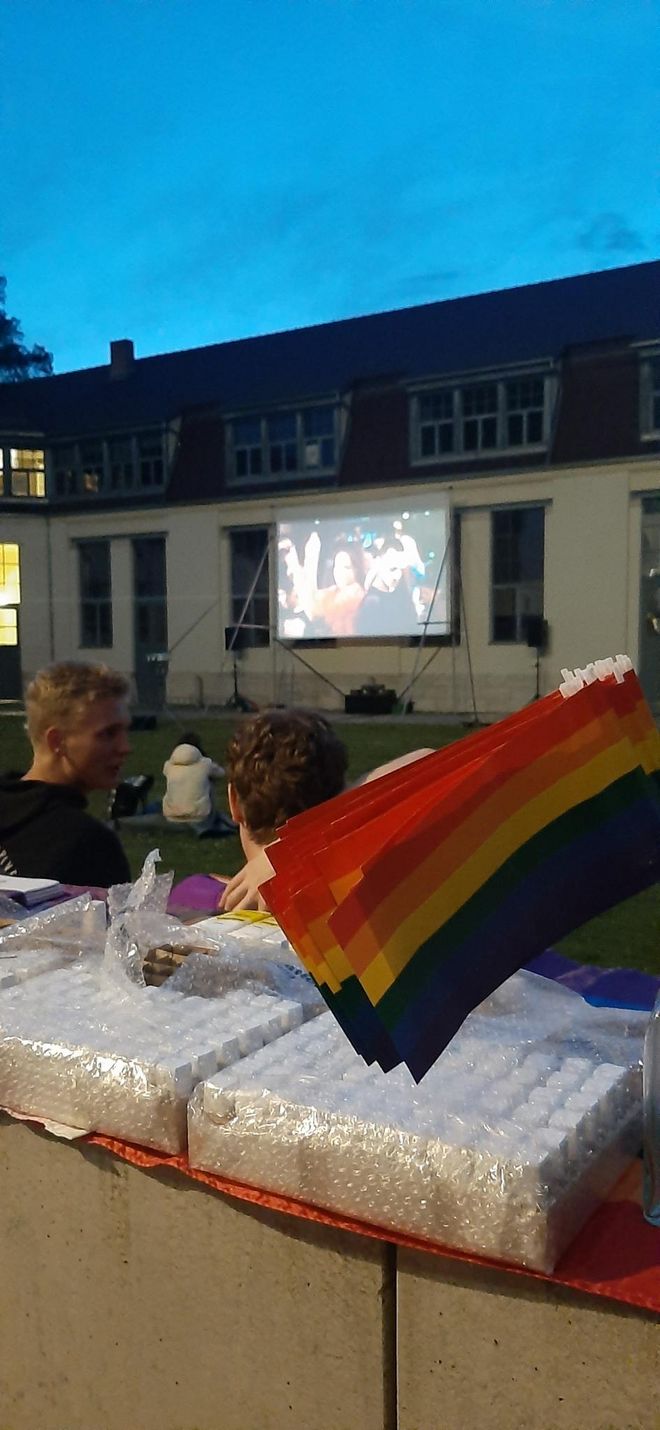 Open-air cinema on the lawn in front of the Van de Velde Building