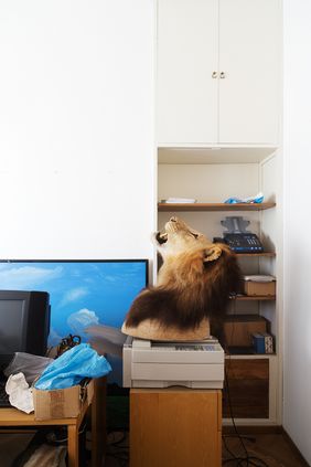 »failed dioramas« - Louis De Belle