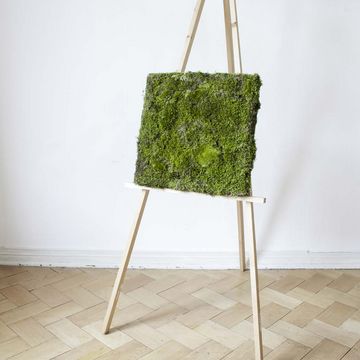 MO2 Aircare  von Anne Genkel und Melissa Harms 
