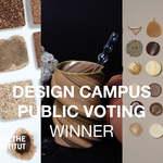 Graphic of the Public Voting