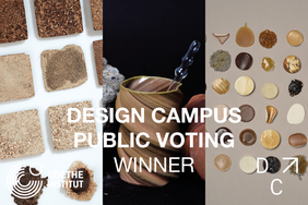 Graphic of the Public Voting