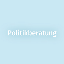 Typische Tätigkeit: Politikberatung