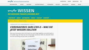 Screenshot der Website 