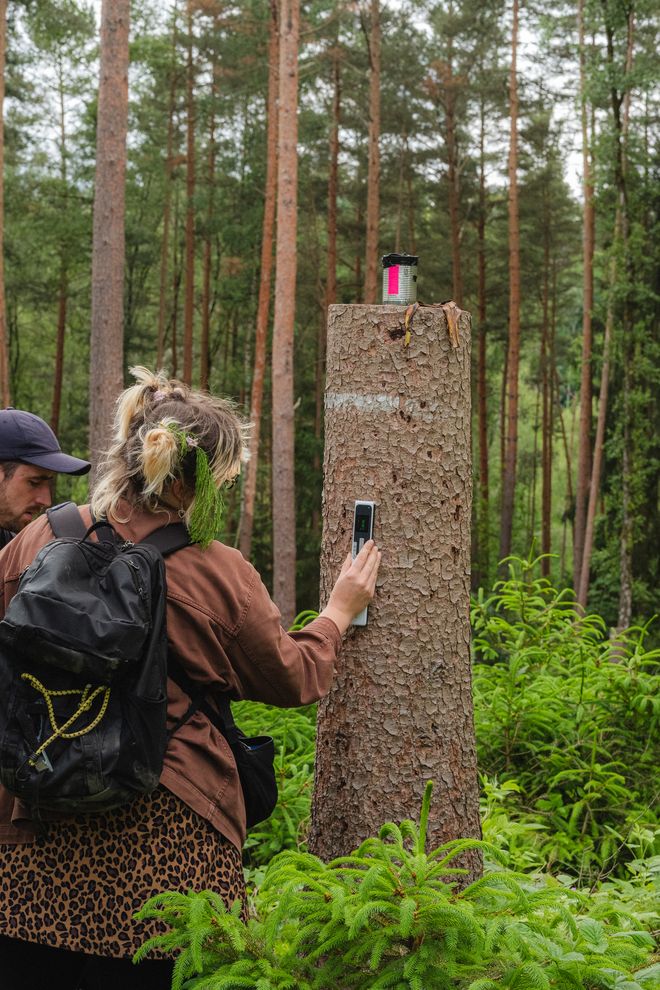 eine Person hält ein Messgerät an Baumrinde eines Baumstammes