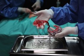 Agi Haines – Circumventive Organs, Filmstill, Foto: Agi Haines
