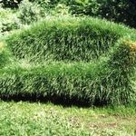 Das Sofa im Grünen von Daniel Spoerri/Werkstatt Kollerschlag mit dem Titel Liegewiese - Betreten verboten. (Barbara Nemitz)
