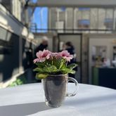 Foto: Selina Gehring/Bauhaus-Universität Weimar