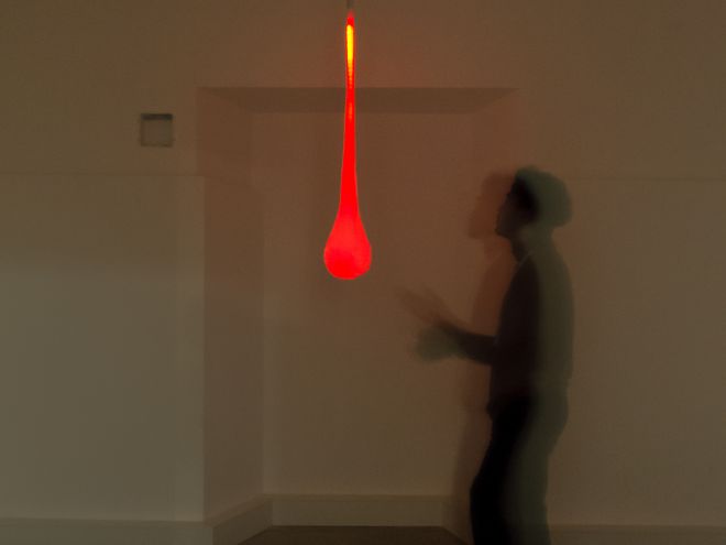 Ausstellungswerk aus der Ausstellung »Shared Habitats«