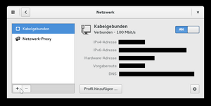 You should now see a window with network connections in front of you. Click on the »+« in the lower left corner to add a new connection. (The black bars are unrecognisable IP addresses).