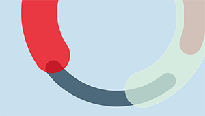 Grafik: Paula Gerharz