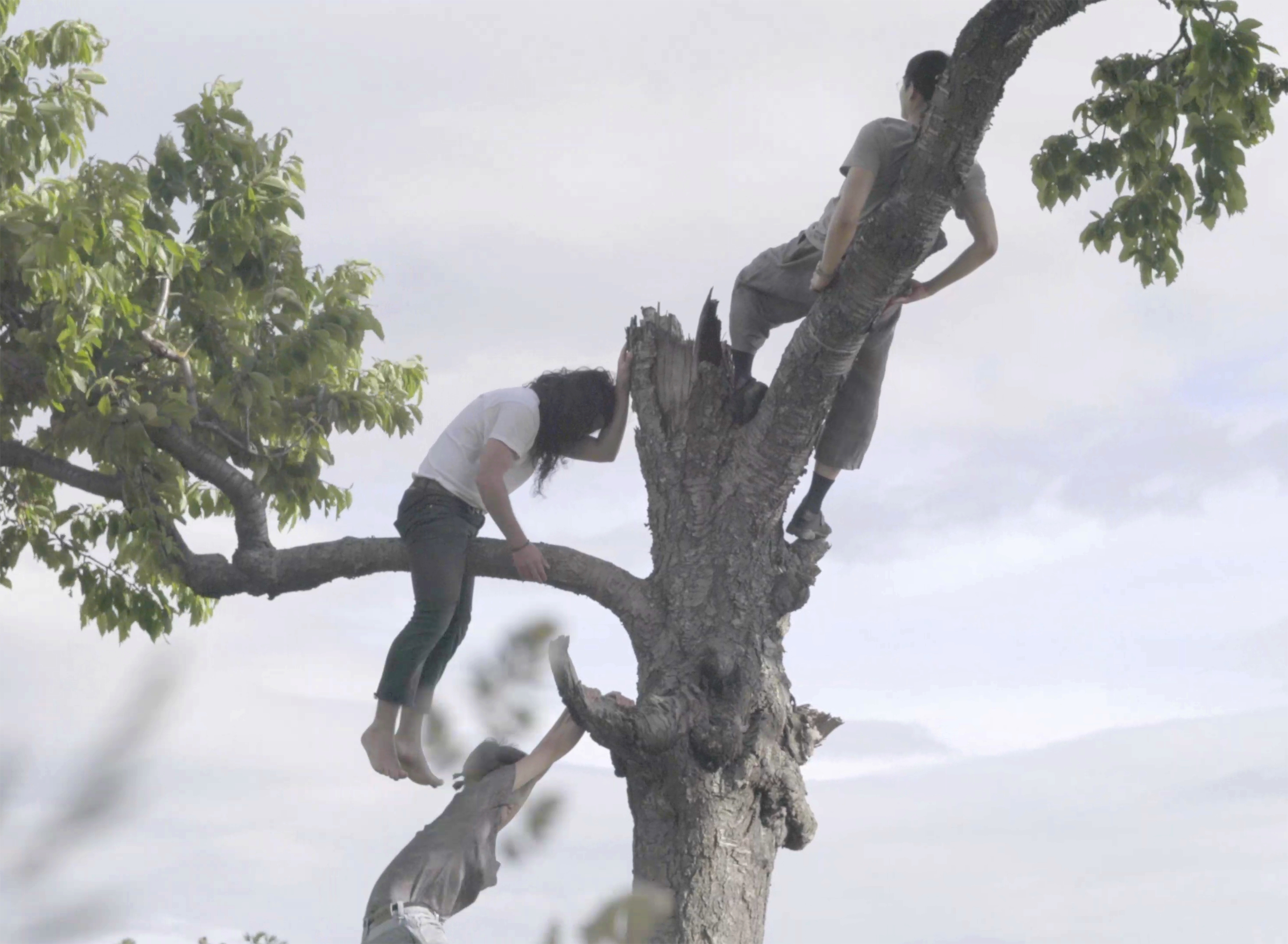 Milad Rezaei received a recognition for his photo »SUNDAY RITUALS«.