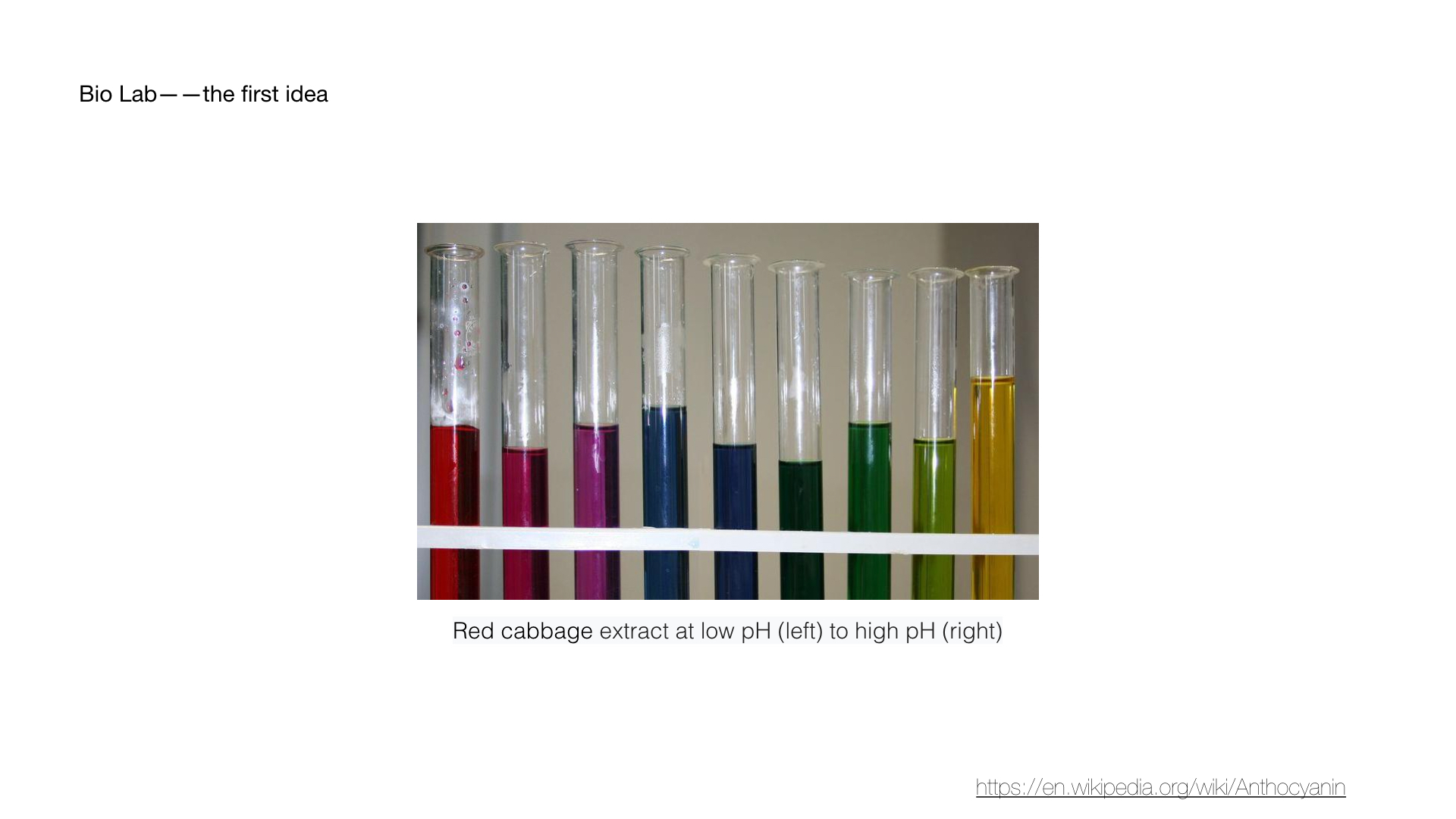 12.6 bio-lab first idea.004.jpeg
