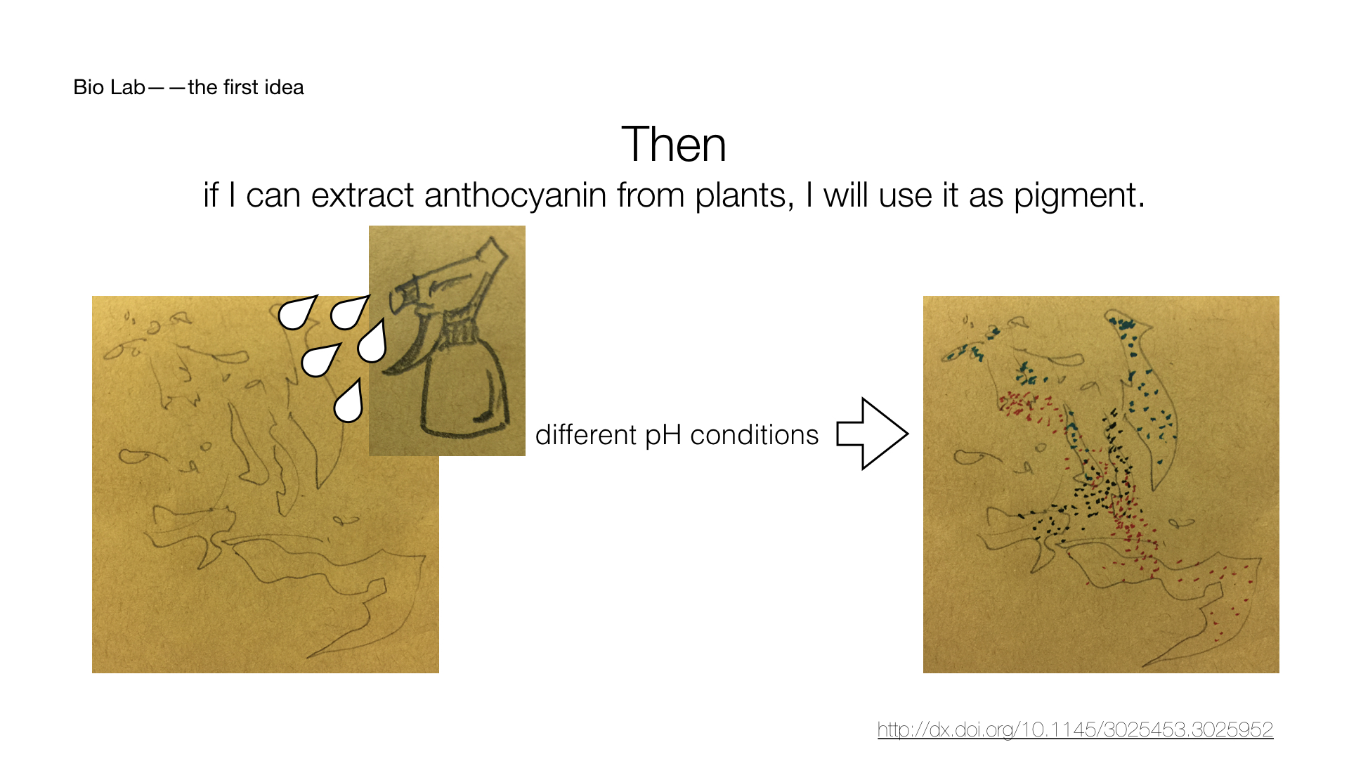 12.6 bio-lab first idea.007.jpeg