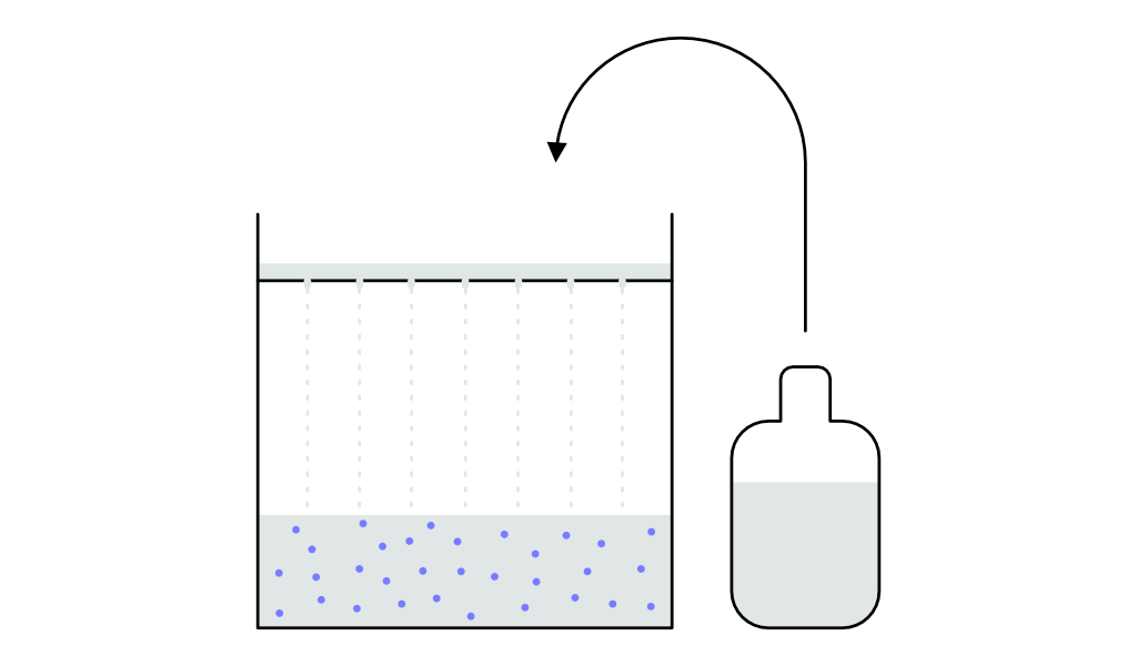 Algae-scheme1.png