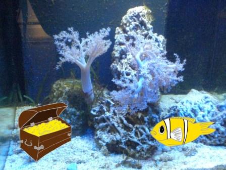Aquarium.jpg