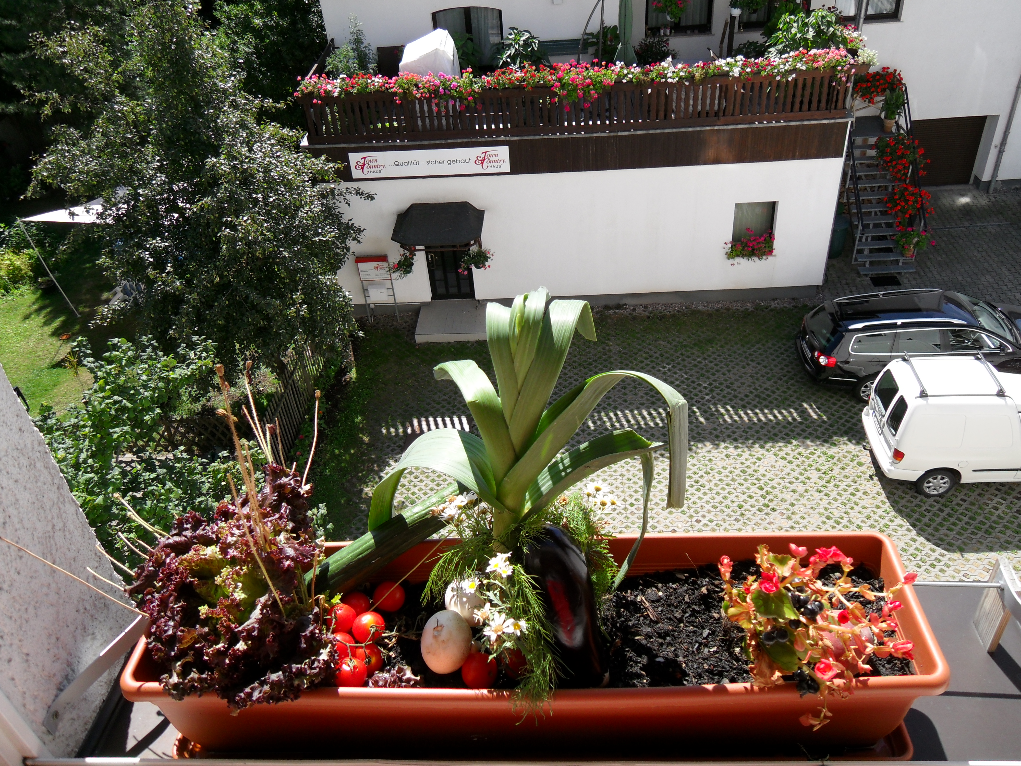 Balcony menue 1.jpg