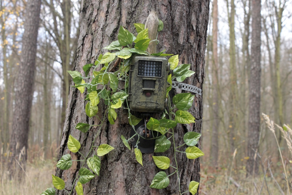 Device in the woods closer.jpg