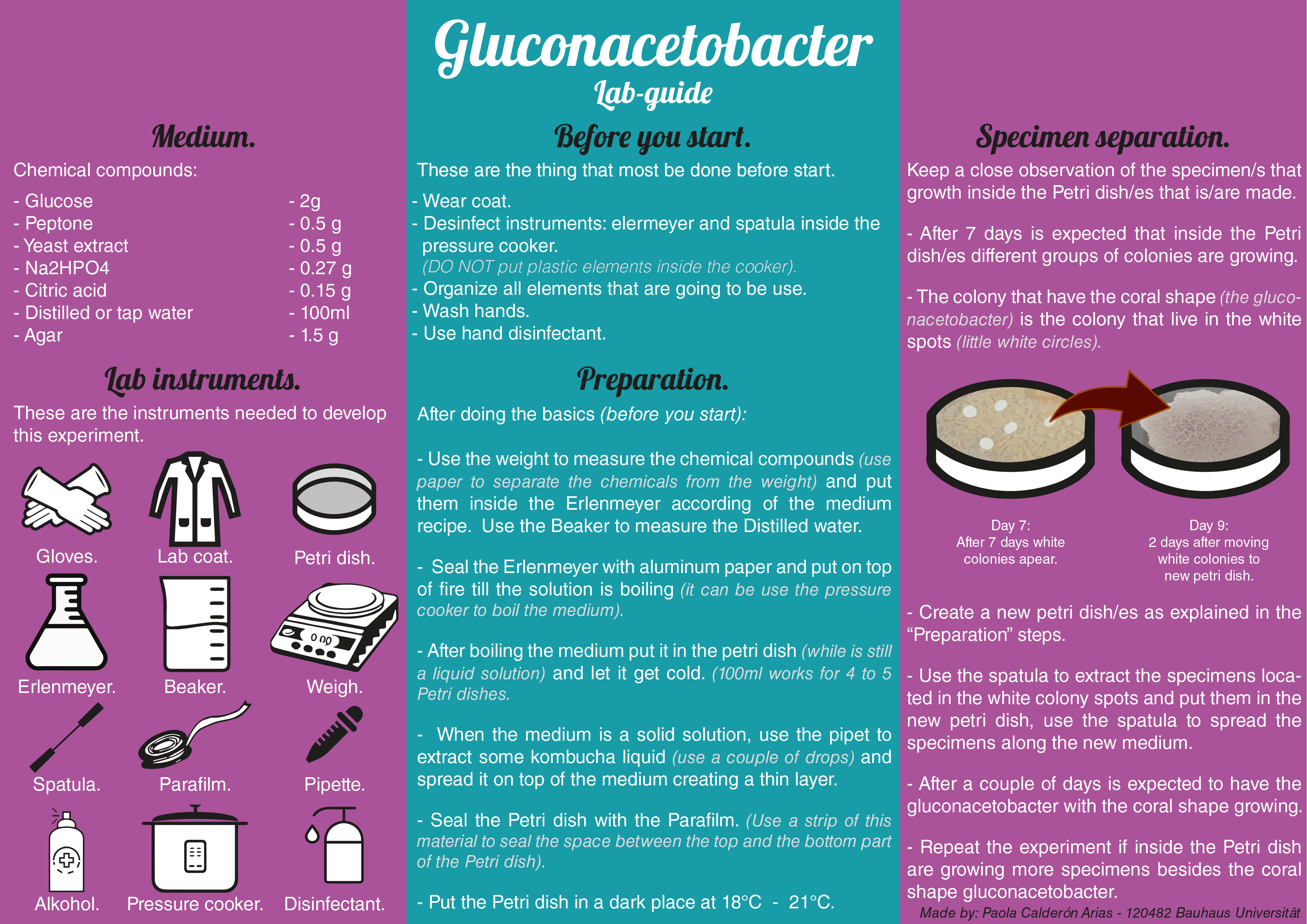Gluconacetobacter lab guide.jpg