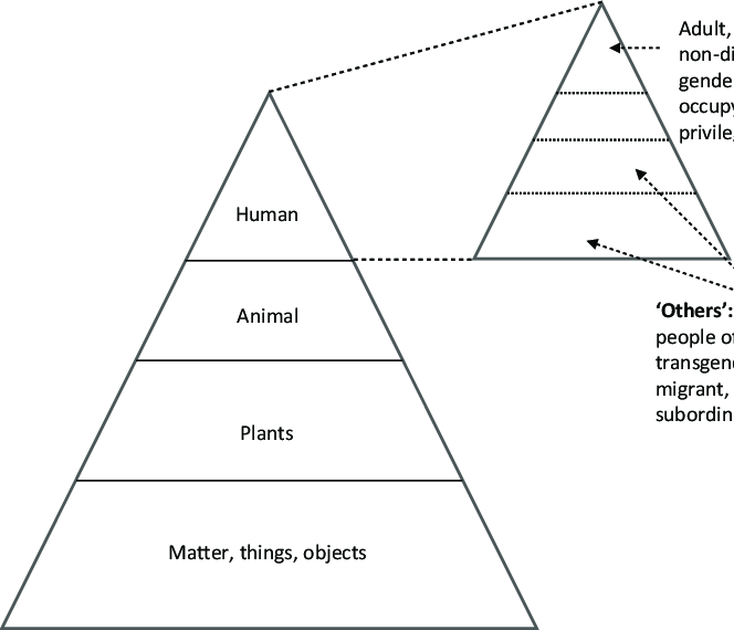 File:Human-centred hierarchy of the natural world.png