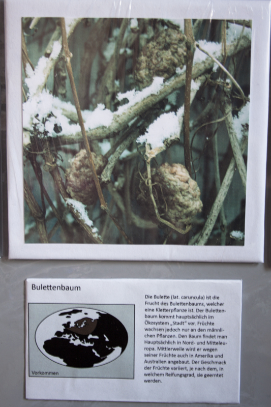 Jahns-wiebke-lebensmittelkunde-museum4.jpg