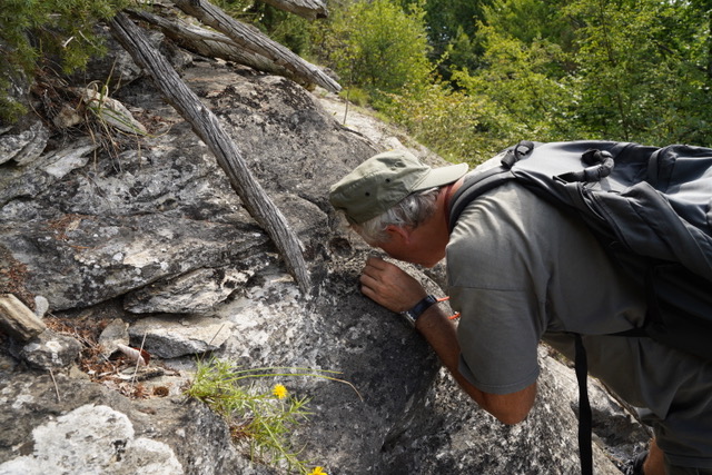 File:K DSC02631.jpeg