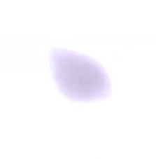 Mbild1.png