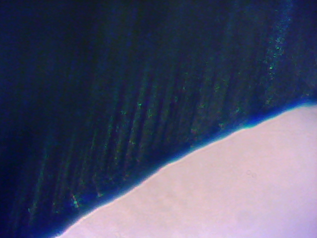 File:Microscope-jakob-knife-blade-181843.png