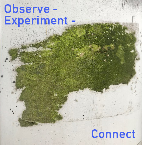 File:Observe Experiment Connect.jpg