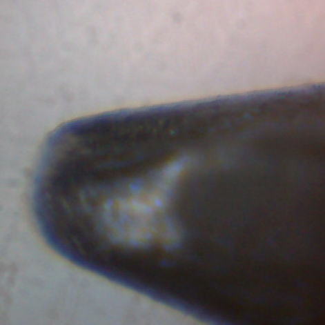 File:Pencil Mikroskop.jpg