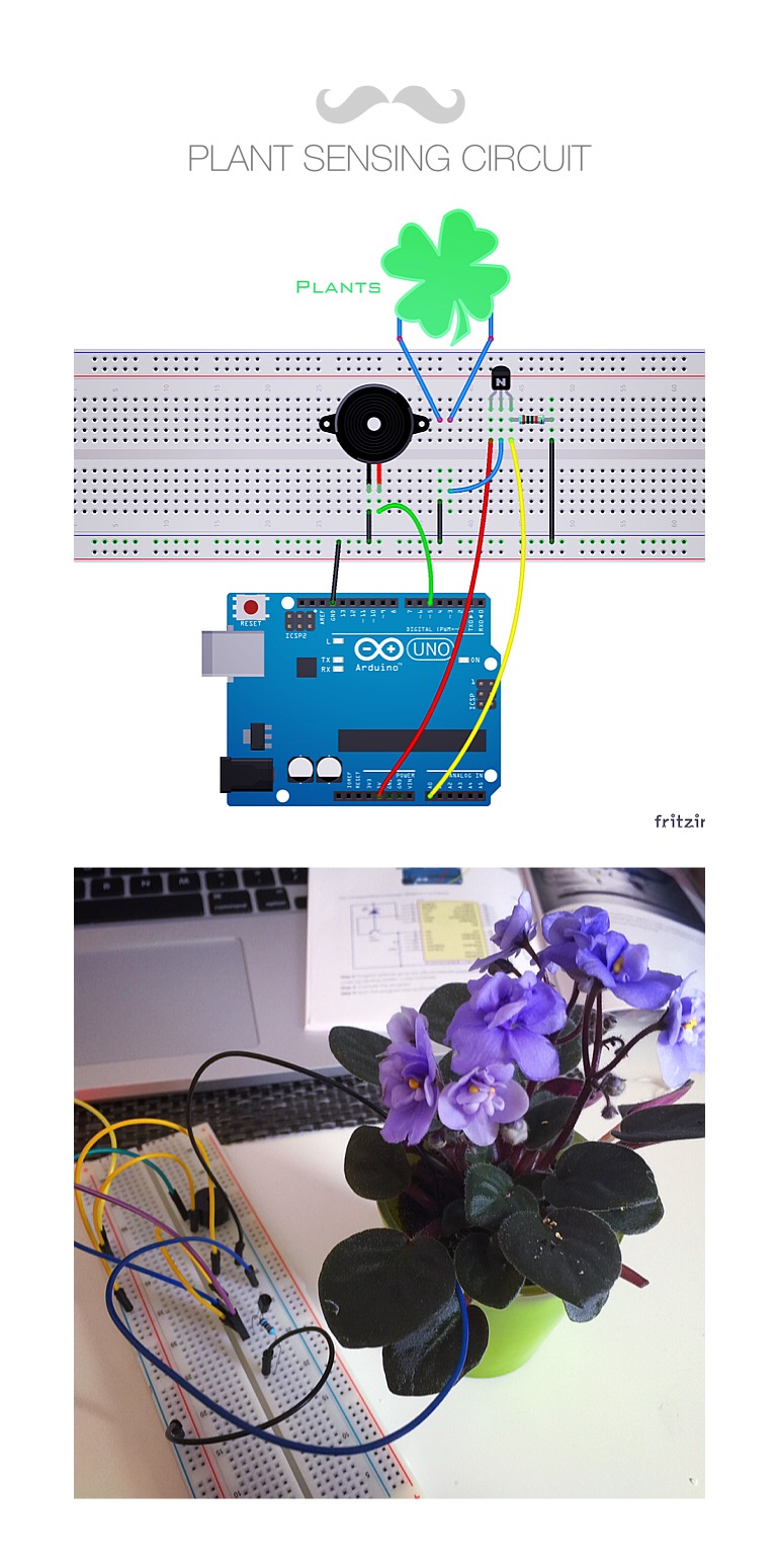 Plantsensing.jpg