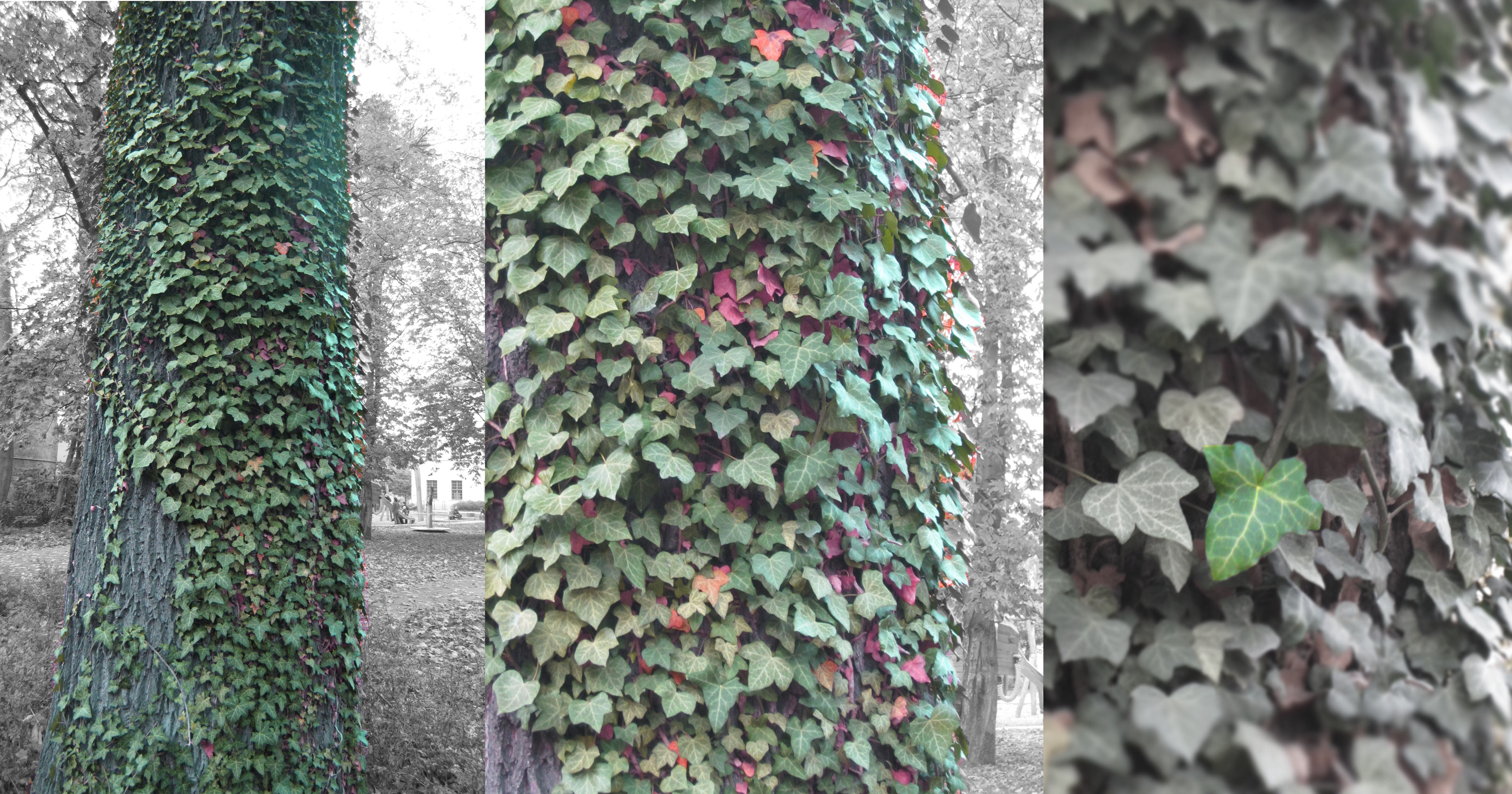 Tree all elements.jpg