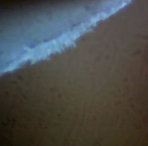 File:Zigarette Surface Mikroskop.jpg