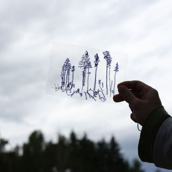 File:01-1-7F3A0267 Kopie.jpg