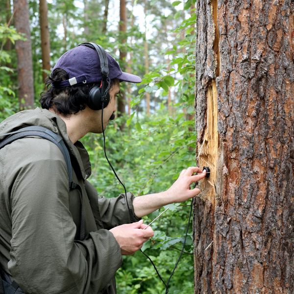 File:01-7F3A0020 Kopie.jpg