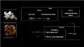 Thumbnail for version as of 07:52, 9 May 2023