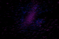 Thumbnail for version as of 20:27, 29 November 2018