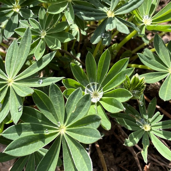 File:04-IMG 9153-insta Kopie.jpg