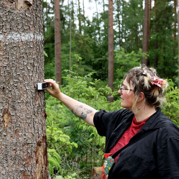 File:05-7F3A0009 Kopie.jpg