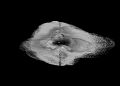 Thumbnail for version as of 11:43, 1 February 2019