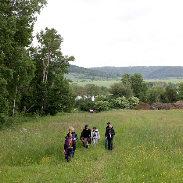 File:06-1-7F3A0234 Kopie.jpg