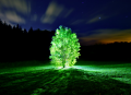 Glowing trees, no more colonoscopies and other wonders of synthetic biology