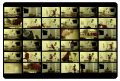 Thumbnail for version as of 12:15, 13 September 2011