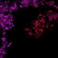 Thumbnail for version as of 20:30, 29 November 2018