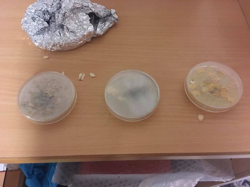 File:196370820 842736253333342 3847102017935821892 n.jpg