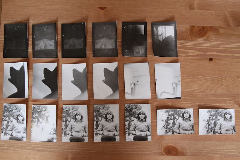 File:20101108-IMG 9350.jpg