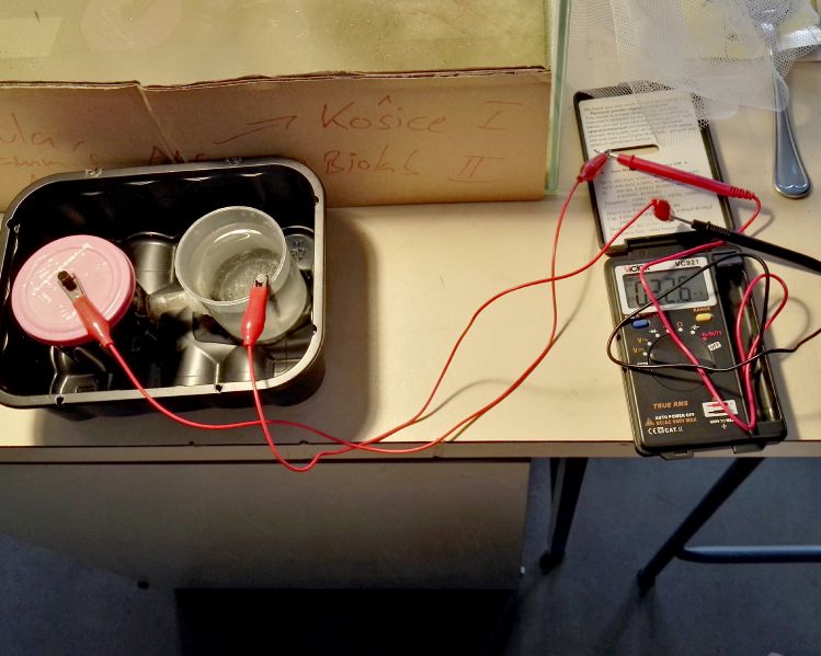File:20161116 120304 copy.jpg